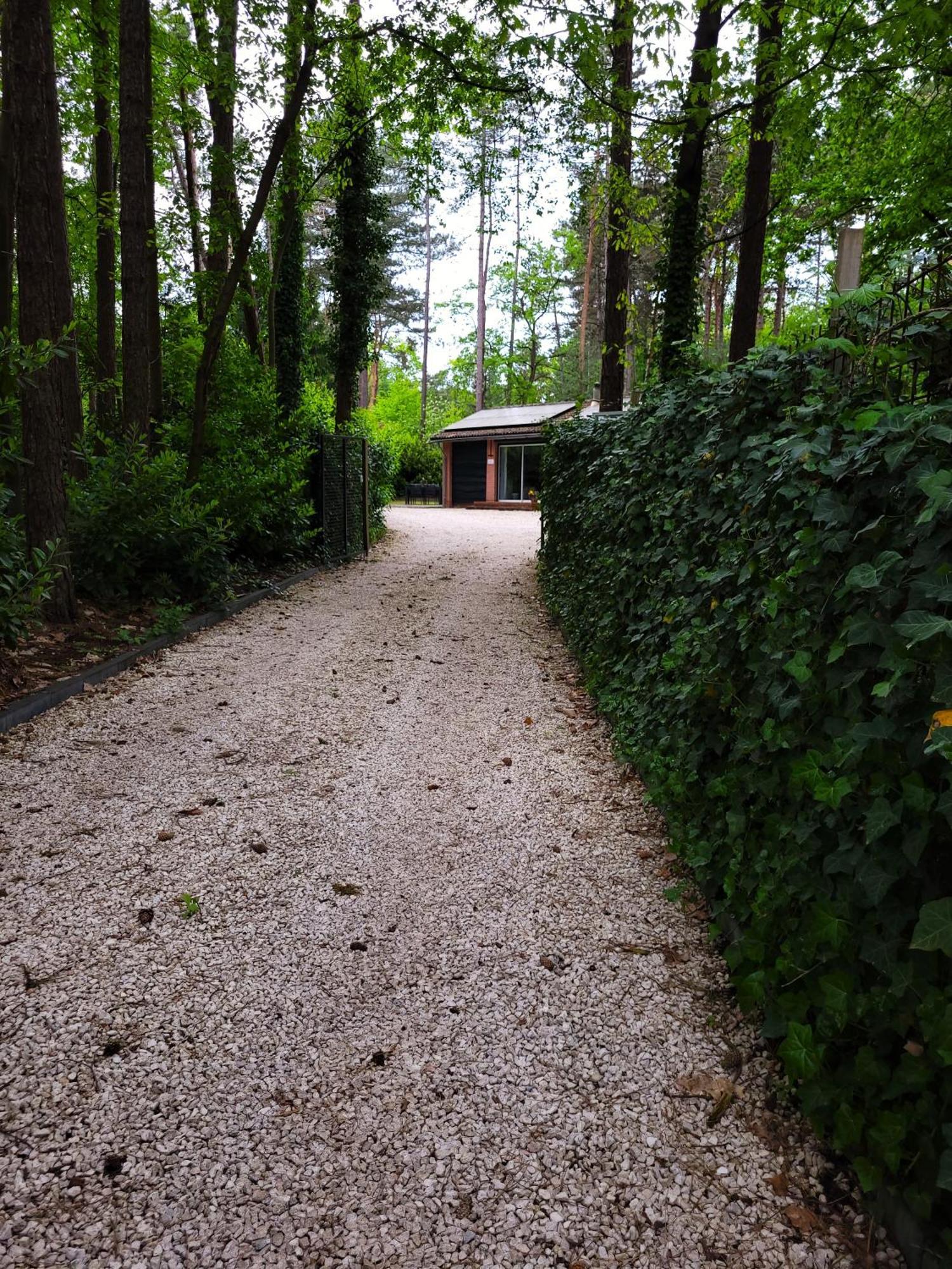 Villa Secret Wellness Boszicht à Holten Extérieur photo